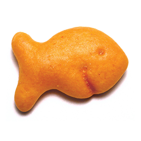 Oliver's Goldfish
